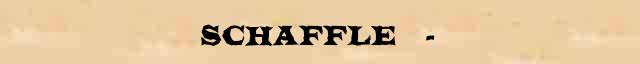  (Schaffle)   (1831-1903)  ()      